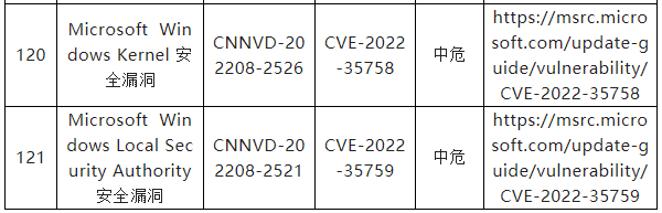 信息安全漏洞月報（2022年8月）表8-17